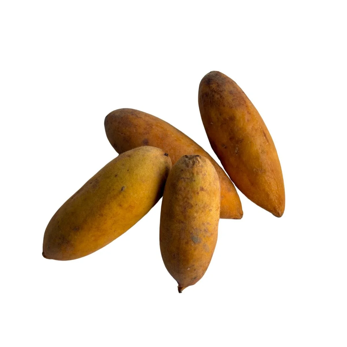 Banana Passion Fruit Plant | Passiflora Mollissima Curuba | Exotic Tropical Vine with Sweet Fruits - Image 3
