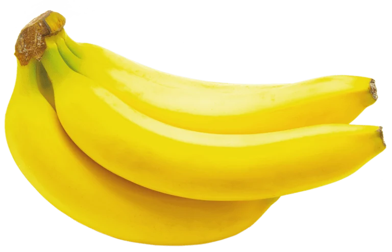 Cavendish Dwarf Banana Plant - Image 3