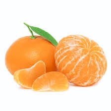 Nules Clementine Grafted Tree – Live Citrus Tree