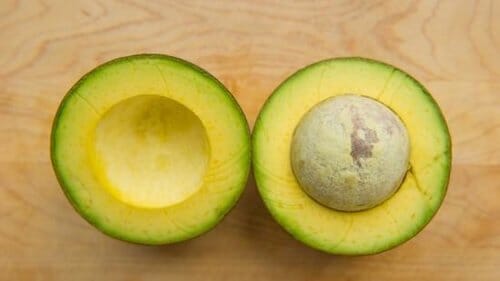 Reed Avocado Tree Grafted - Image 2