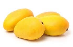 Triple Sec, Seacrest Mango Tree, Grafted