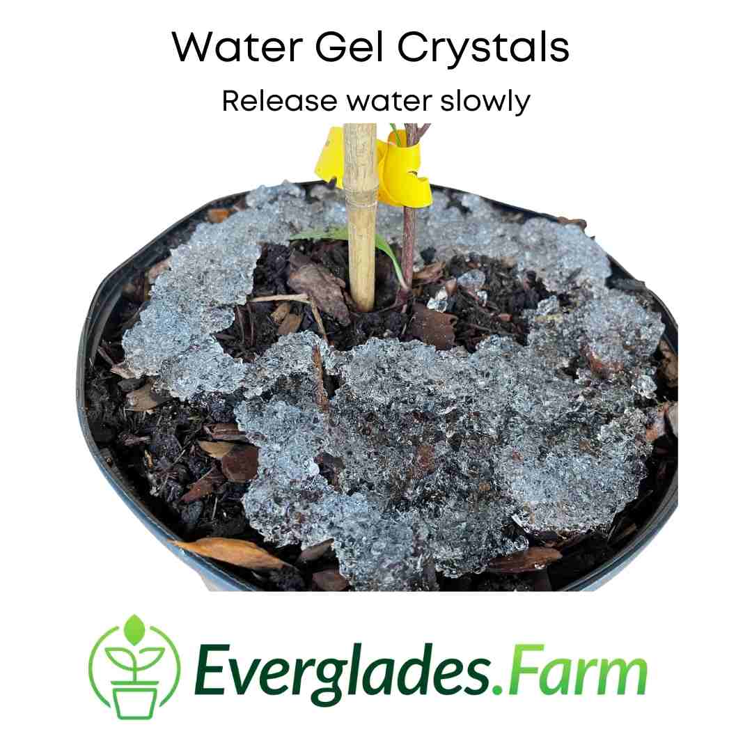 Water Gel Crystals for Moisture Retention, prevents dehydration of plants, 12-ounce bag - Image 2